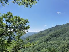 -牛背梁国家森林公园