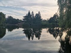 -洋湖国家湿地公园