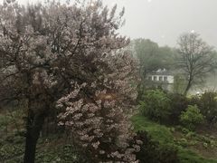 -不二茶空间·养生宴(石景山店)