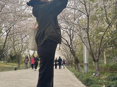 -高东镇樱花园
