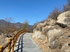 -白水寺森林公园