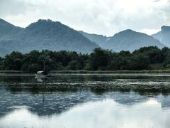-大九湖