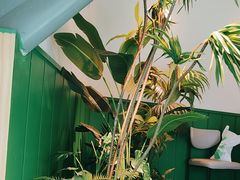 -方腻·3平方柠檬茶