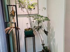 -王府茶楼茶宴·创意菜(大观园总店)