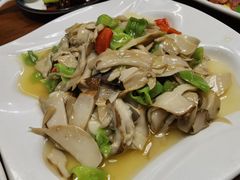 炒鸡枞菌-宣威山野人家·现炒云南菜(金碧店)