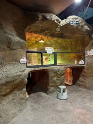 -酷嗒动物文化乐园(cutezoo西溪乐天城店)