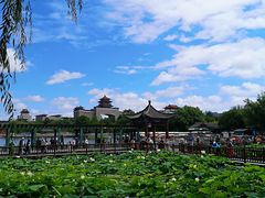 -莲花池公园