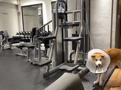 -YCHL Studios健身工作室(市二宫店)