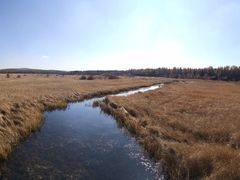 -塞罕坝国家级自然保护区