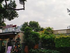 -玫瑰园餐厅
