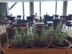 -广交会威斯汀酒店