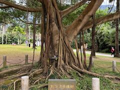 -深圳仙湖植物园