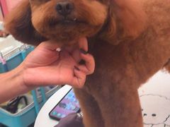 -FAELING PETS美天灵宠物(合生汇店)