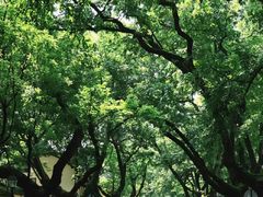 -颐和路民国时期公馆风貌区