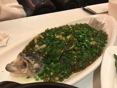 烧椒鲈鱼-尘香•传统川菜(创汇首座店)