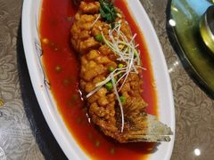 -陈麻婆豆腐(旗舰店)