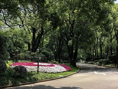 -上海虹桥迎宾馆