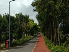 -上海长兴岛郊野公园