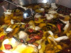 -雲蜀龙阁·金牌水煮鱼(方庄店)