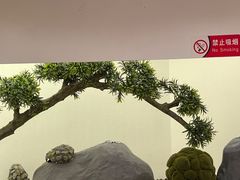 -点心传说·粤菜点心(佐阾虹湾店)