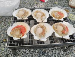 -268童话露营农场·烧烤·团建