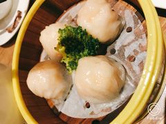 -粤港餐厅(禹州商业广场店)