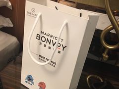 -常州武进九洲喜来登酒店