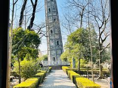 -上海佘山国家森林公园天马山园