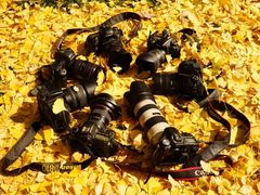 -洛阳白云山景区