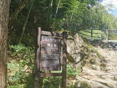 -东天目山风景区