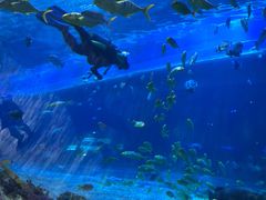 -华夏文旅西安度假区