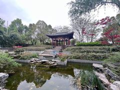 -武汉园博园(武汉自然博物馆)