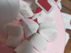 -维尔纳斯·生日蛋糕动物奶油冰淇淋蛋糕(人大店)