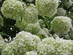 -兰陵国家农业公园