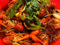 -红辣椒·川菜·火锅(张杨路店)