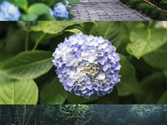 -达蓬山旅游度假区
