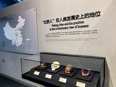 -北京周口店北京人遗址博物馆