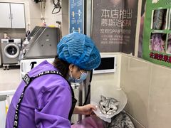 -北京观赏动物医院·24小时大型综合·猫专科·异宠专科
