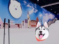 -Mr·Kuma酷么先生雪之乐园