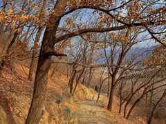 -北京鹫峰国家森林公园