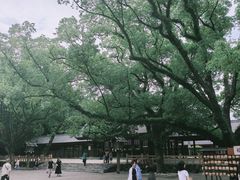 -热田神宫