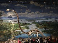 -自贡恐龙博物馆