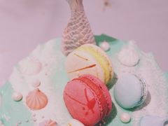 美人鱼芝士-随心小姐