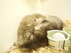 -龙猫仔乐园(惠福东路店)