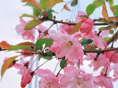 -汉江湾体育公园