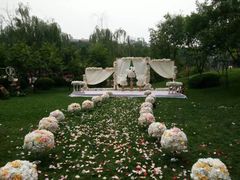 -爱主题婚礼策划  婚车租赁