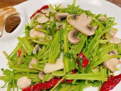 毛芹菜炒口蘑-亚克西姆新疆菜(库车店)