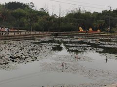 -广州莲花山旅游区