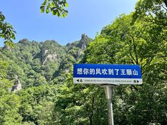 -王顺山国家森林公园