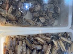 -全乐鱼馆·淳牌有机鱼直营店